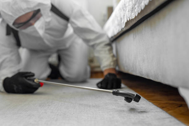 Professional Pest Control technician working in West Bountiful, UT