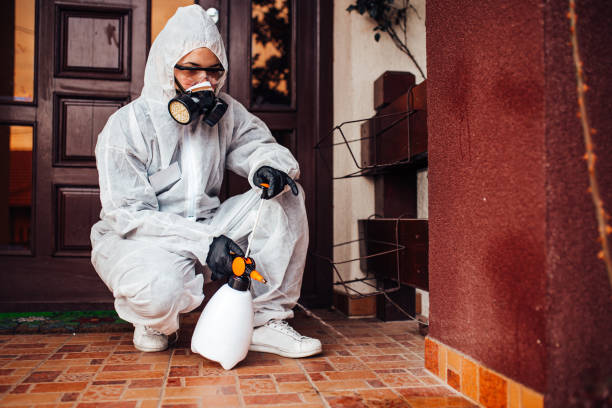 Reliable Bed Bug Control contractor in West Bountiful, UT by Nex Pest Control