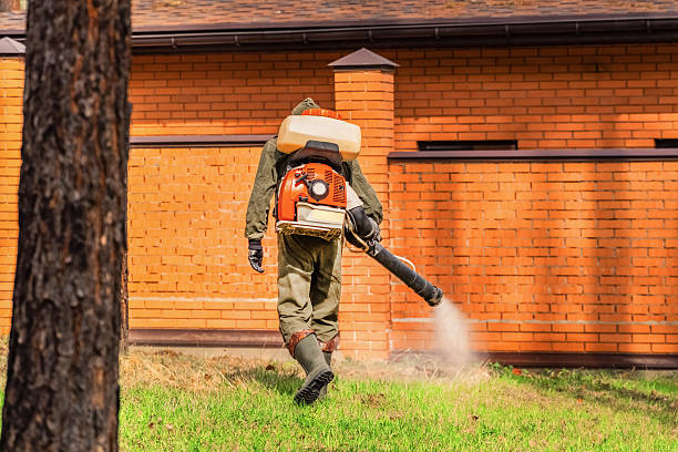 Trusted Ant Control service in West Bountiful, UT - Nex Pest Control